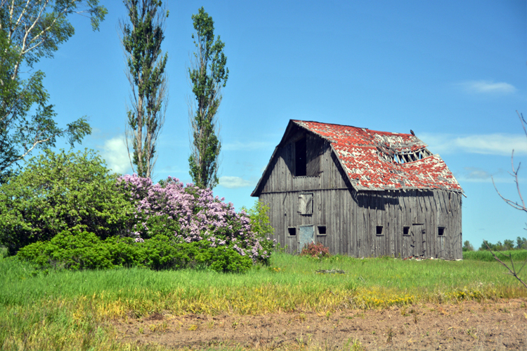 barn